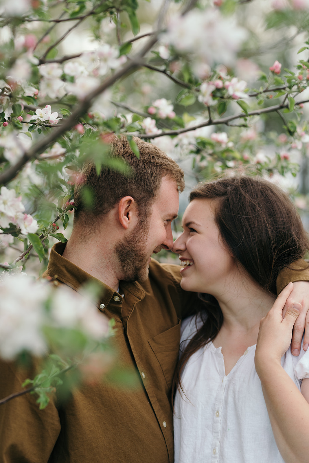 couple-in-cuddling-in-tree-spring-engagement-session