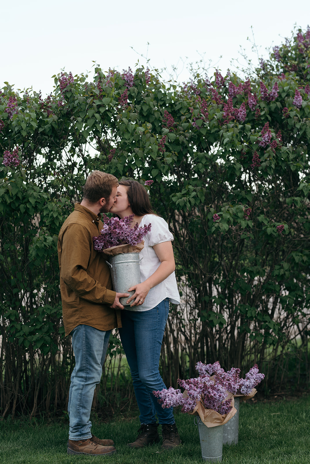 couple-in-front-of-lilac-bushes-wellman-iowa-engagement-session