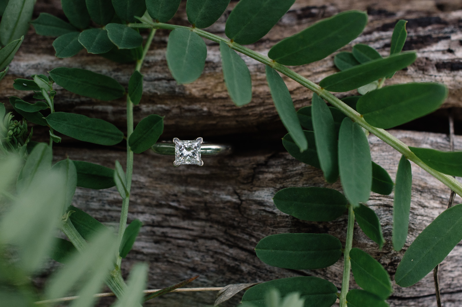 engagement ring wood and greenery