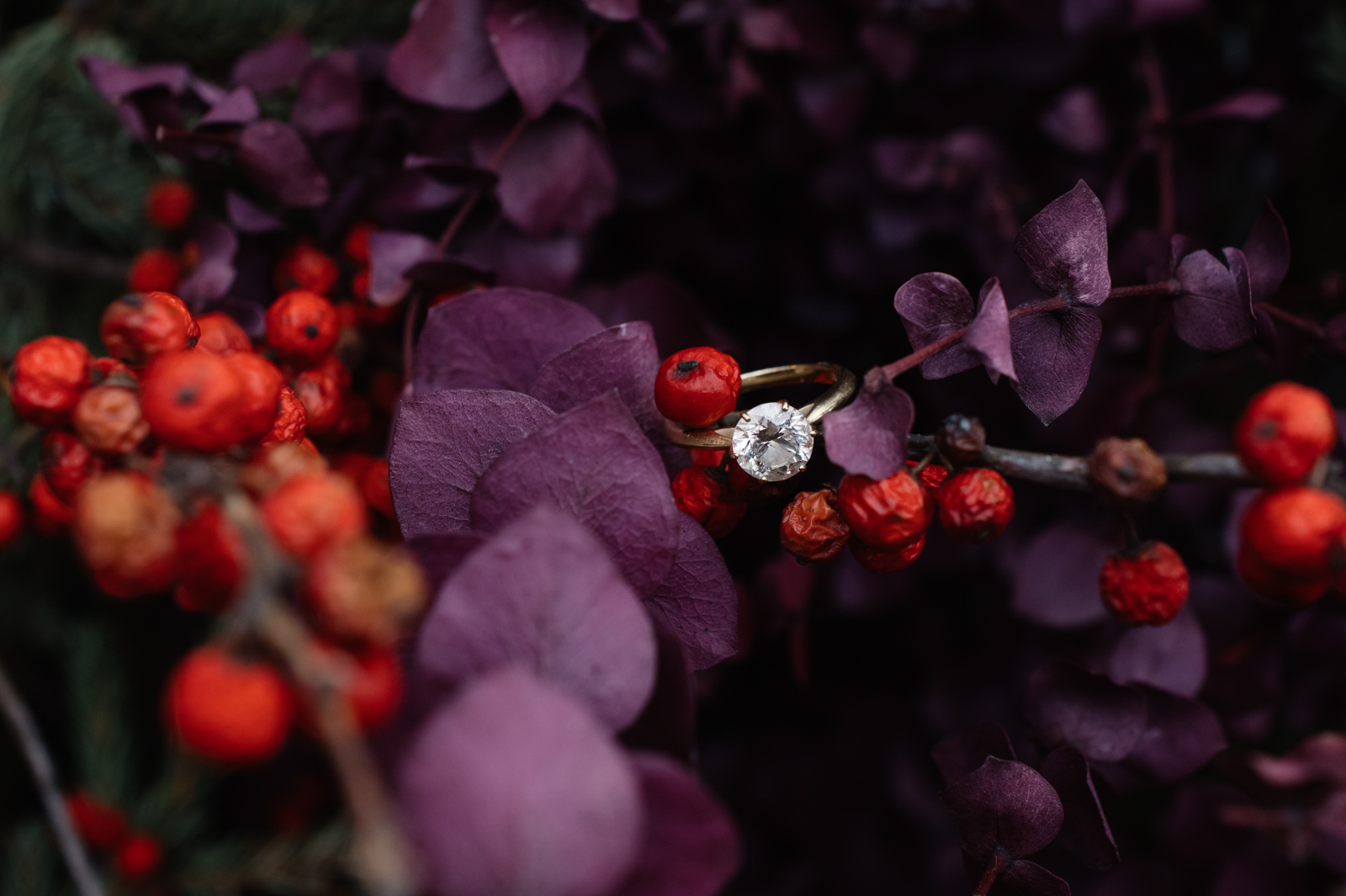 engagement ring in bush with berries