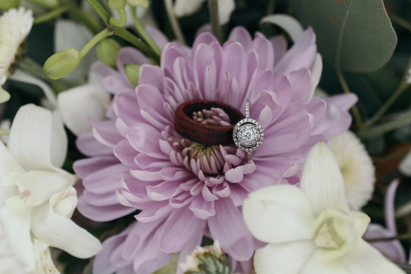 wedding rings in flowers at coralville wedding