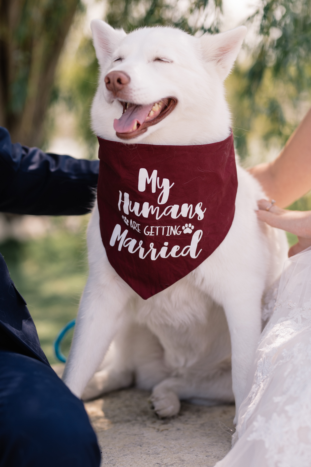 dog with bride and groom epic event center wedding venue