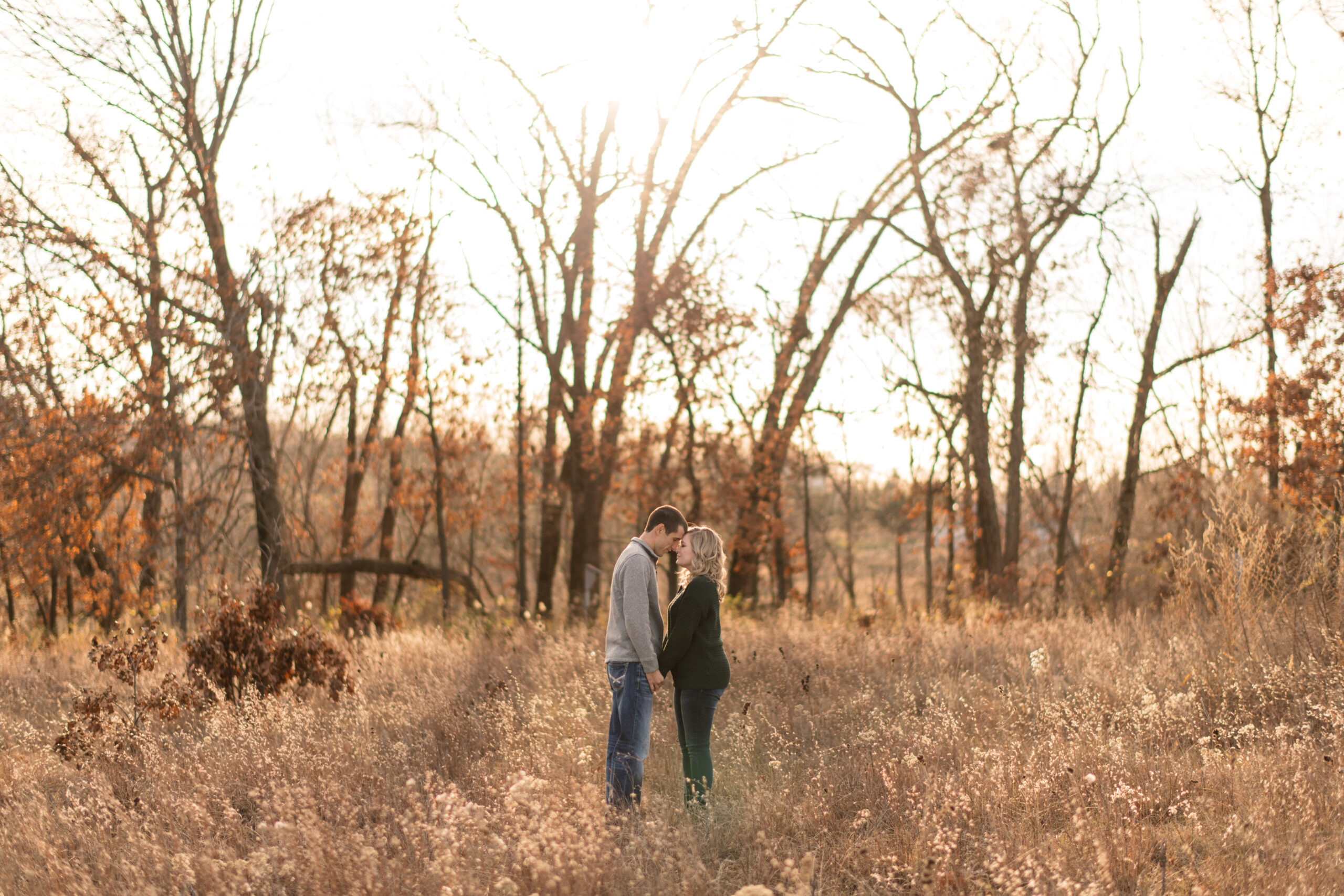 Rock Island Botanical Preserve Cedar Rapids Engagement and Wedding Photography Abby and Erick